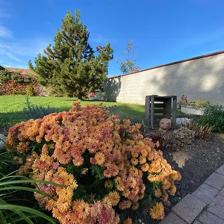 Relais Du Dompeter Bed & Breakfast Molsheim
